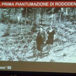 07-Anni_50_ridotta